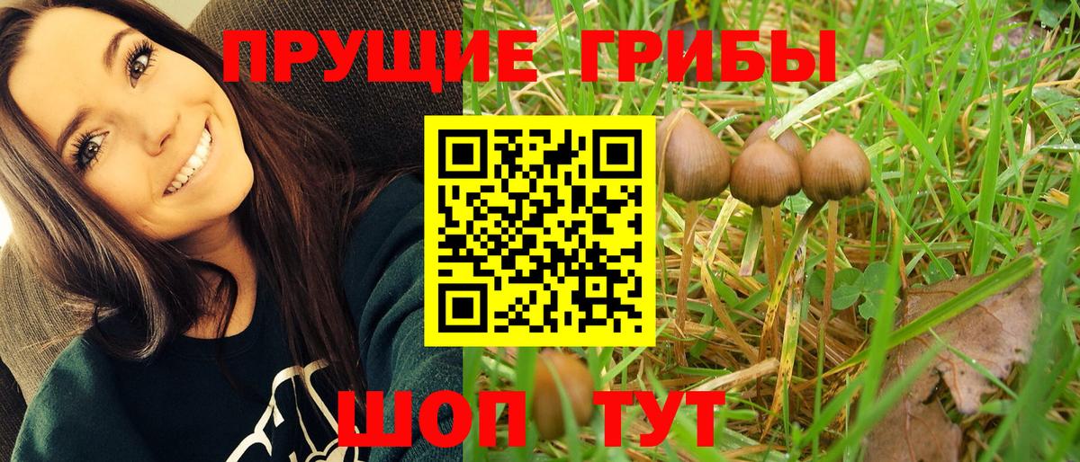 Лянтор  Галлюциногенные грибы Cubensis  дарнет шоп  Вход с VPN 